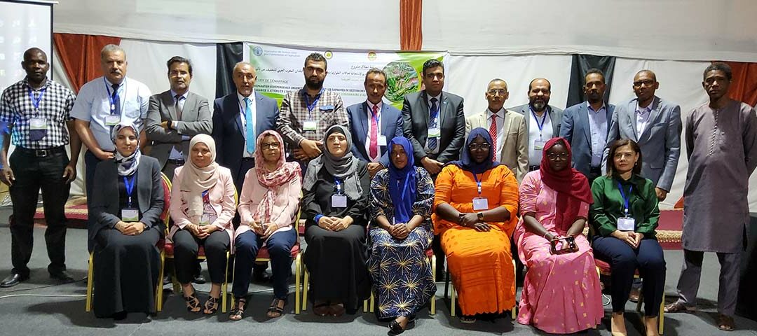 Chenille Légionnaire d&rsquo;Automne