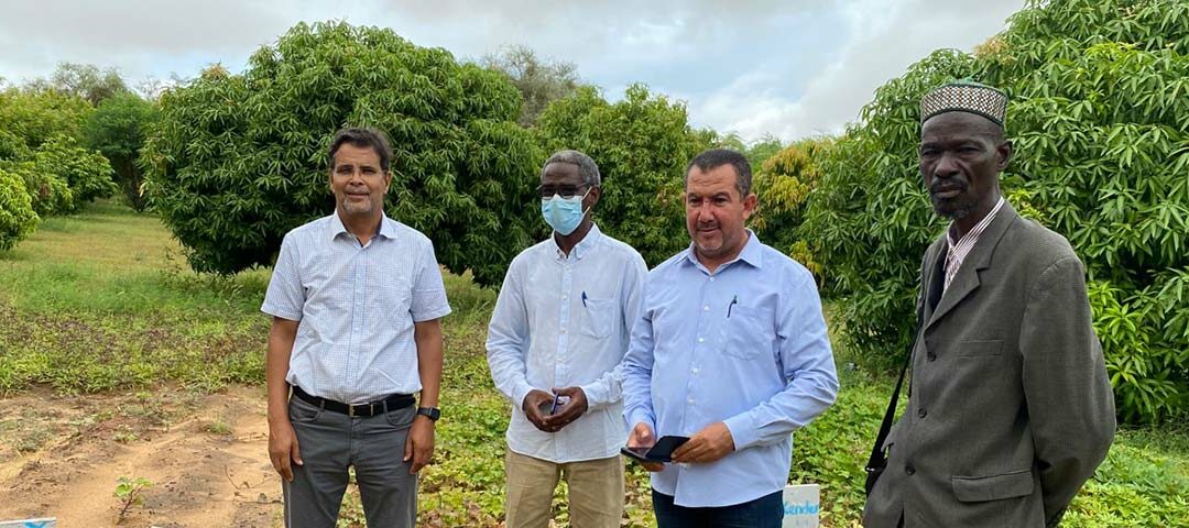 Visite d&rsquo;un expert en techniques d&rsquo;hybridation à Rosso et Kaédi