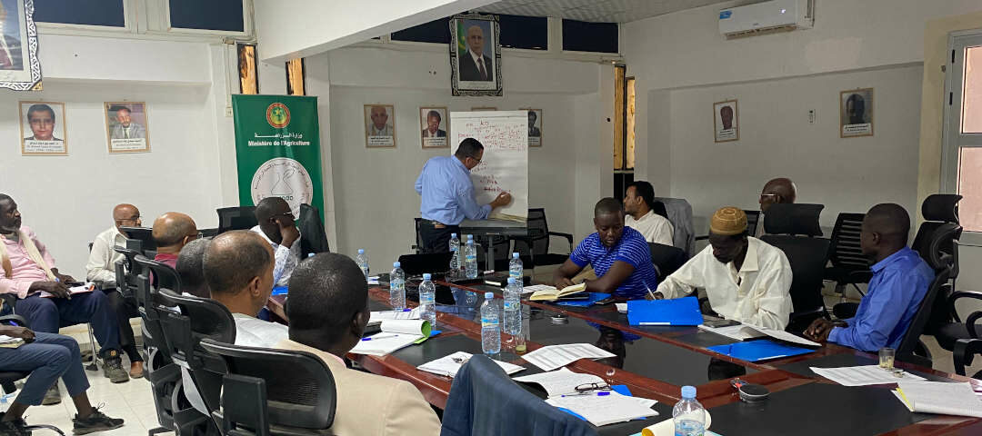 Atelier national de formation sur les techniques de sélection par mutation et l&rsquo;amélioration des cultures