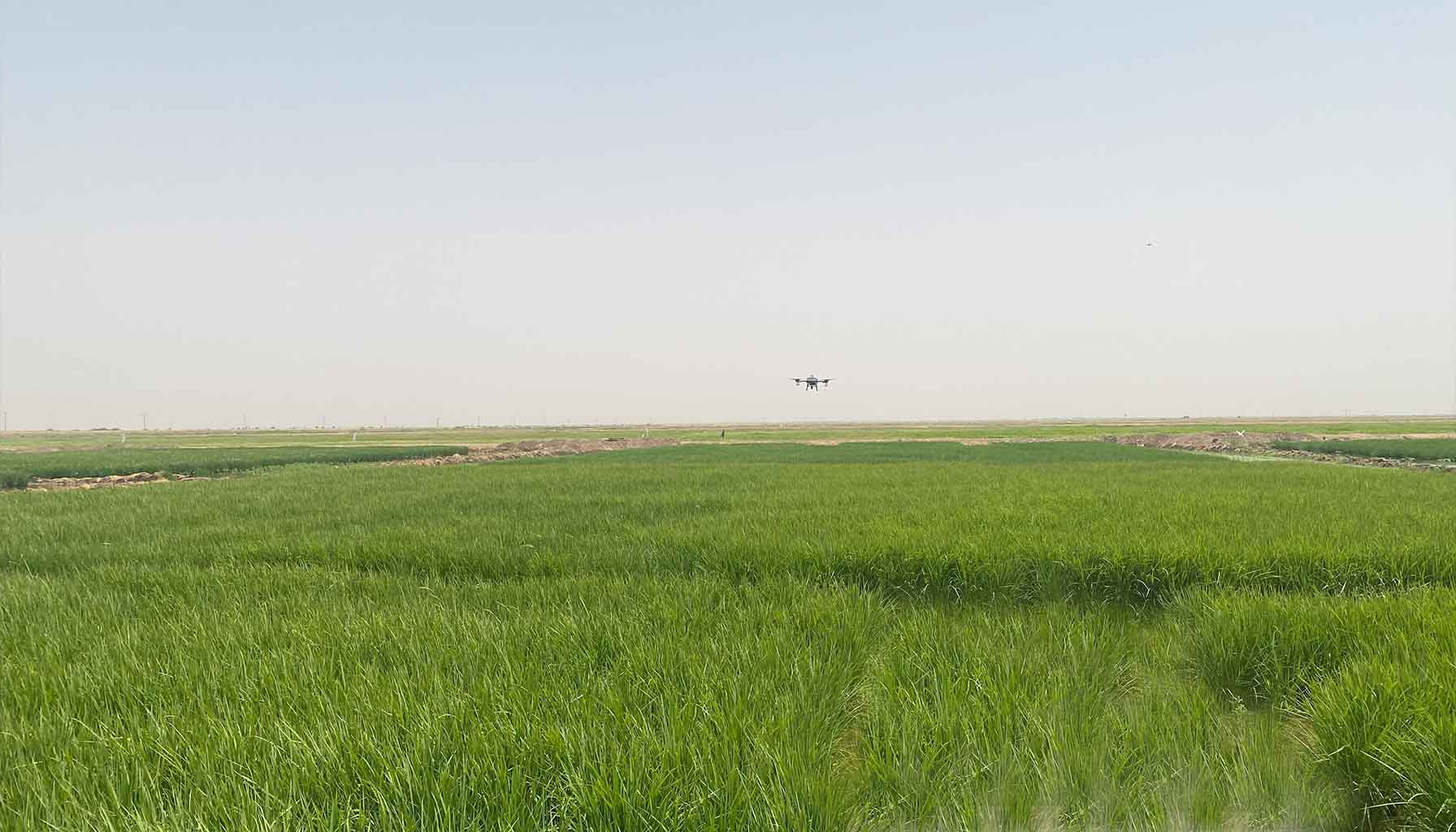 JPO 2024 agriculture en Mauritanie, vue de ciel