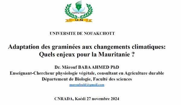 Adaptation des graminees aux changements climatiques Quels enjeux pour la Mauritanie