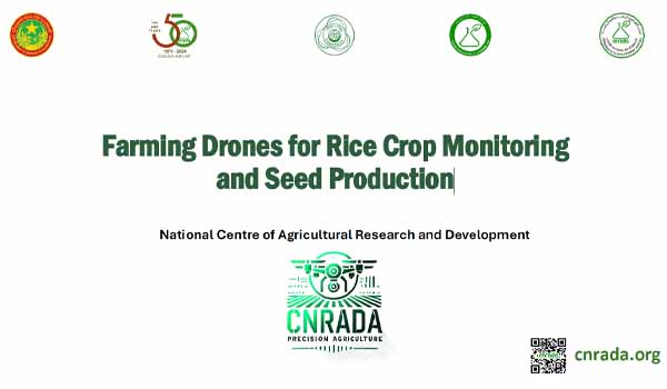 Farming Drones for Rice Crop Monitoring and Seed Production